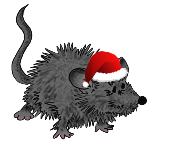 methusalem struppig weihnachten Kopie