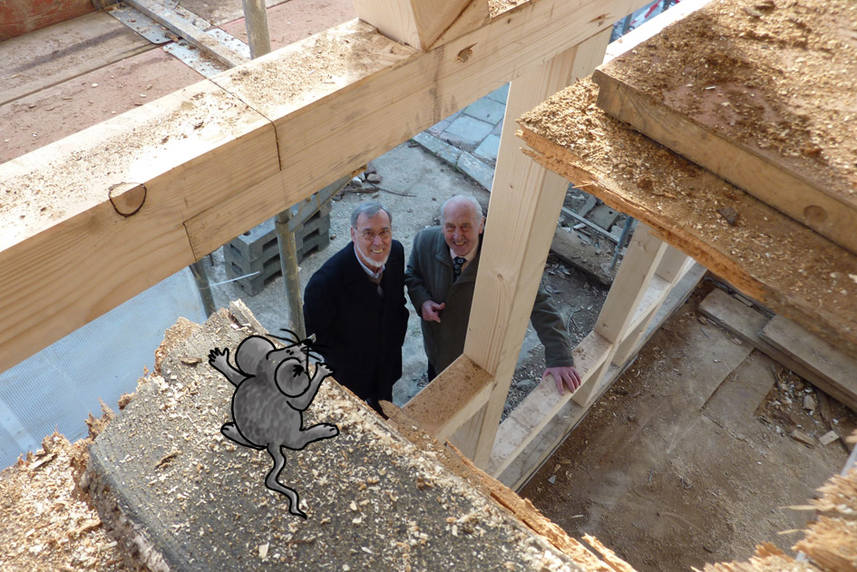 Methusalem_auf_der_Lauer_bear_Kopie