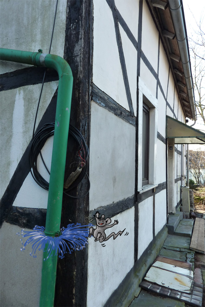 Methusalem_regenrohr_Kopie