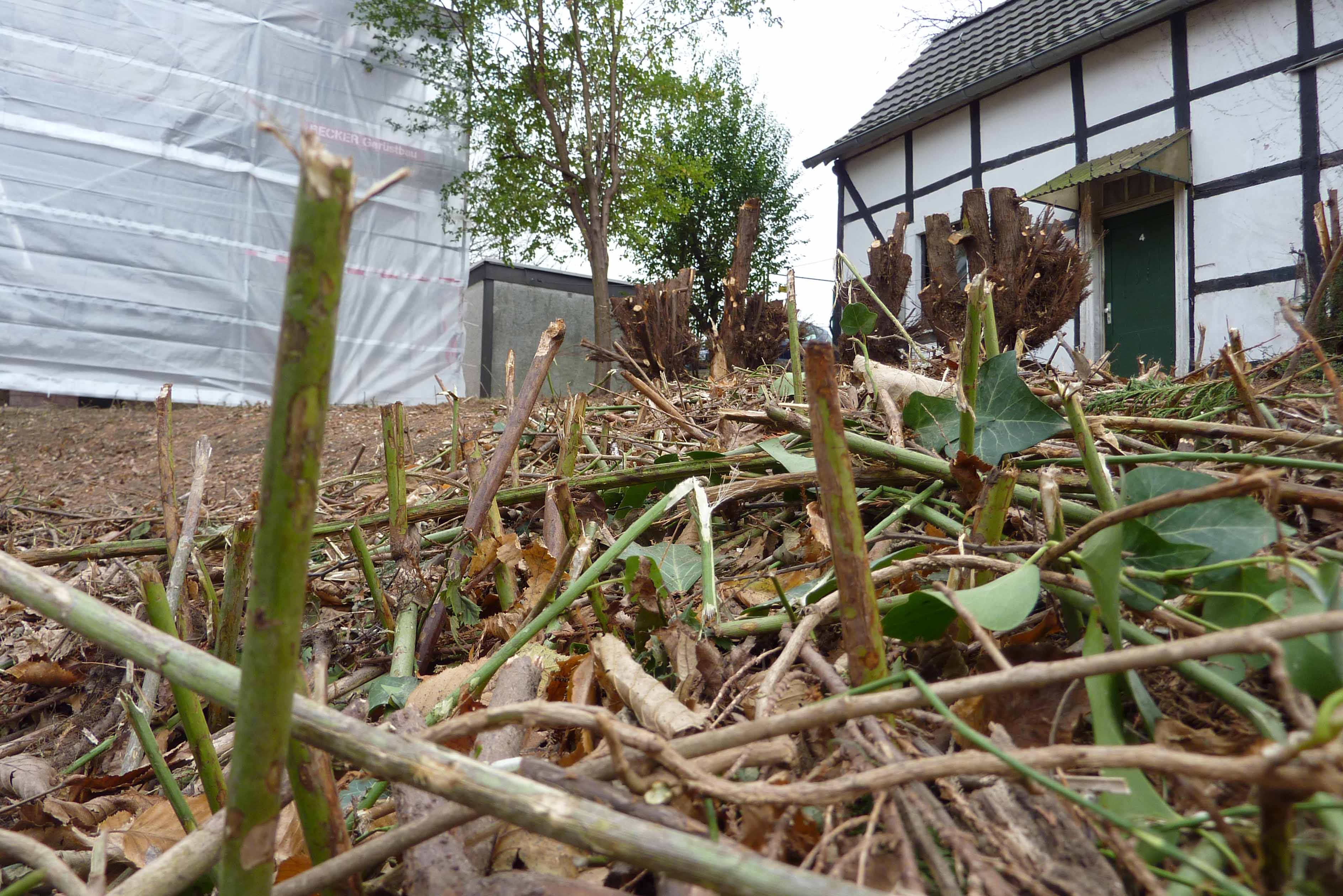 Stumpf_und_Stiel_Kopie